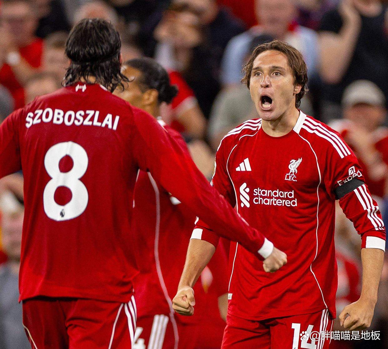 开云-关于英超赛程吃紧；利物浦国际比赛日再遭质疑；更衣室稳定；阵容厚度经受考验的信息